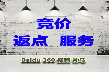 探索SEM竞价员的核心工作与案例分析